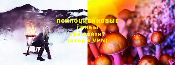 соль курить ск Белокуриха