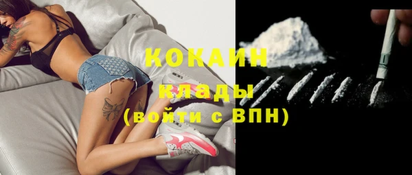 mdpv Богданович
