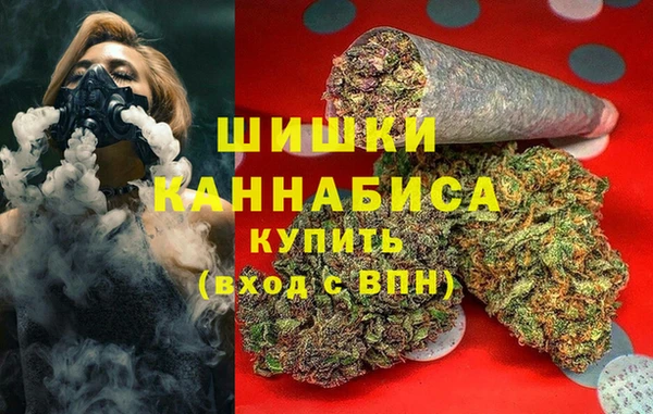 mdpv Богданович